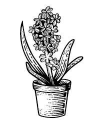 Что дальше, миссис Норидж? - i_001.jpg