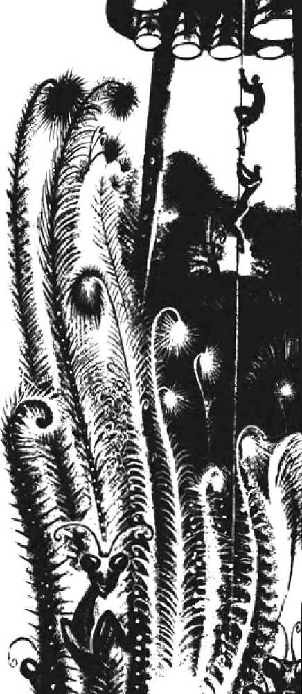 "Фантастика 2025-48". Компиляция. Книги 1-23 (СИ) - i_020.jpg