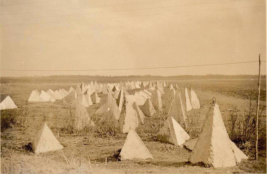 "Фантастика 2024-148". Компиляция. Книги 1-16 (СИ) - i_100.jpg