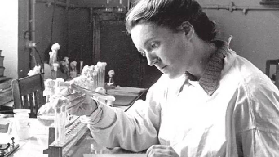 "Фантастика 2024-148". Компиляция. Книги 1-16 (СИ) - i_107.jpg