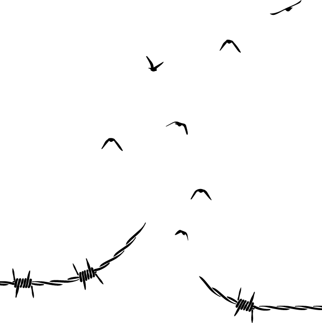 Акушерка Аушвица. Основано на реальных событиях - i_001.png