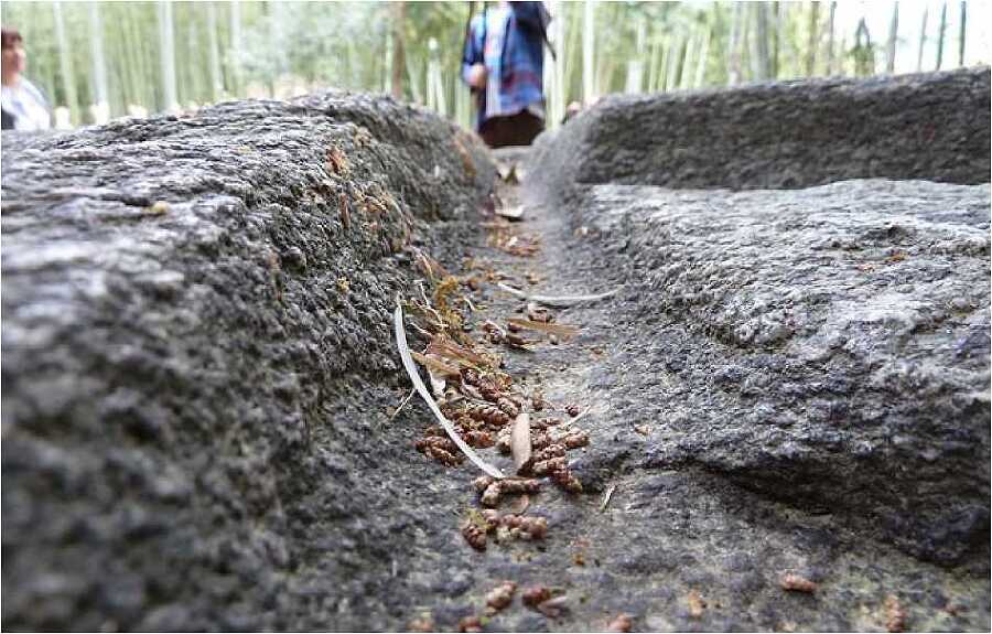 Страна восходящего солнца. Загадки древней истории - i_080.jpg