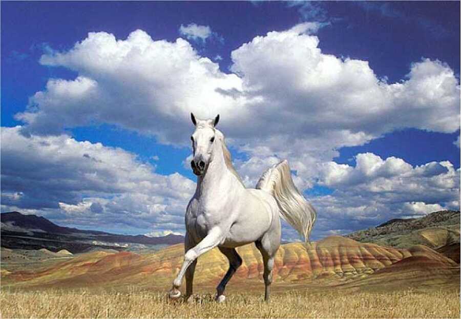 Страна восходящего солнца. Загадки древней истории - i_106.jpg