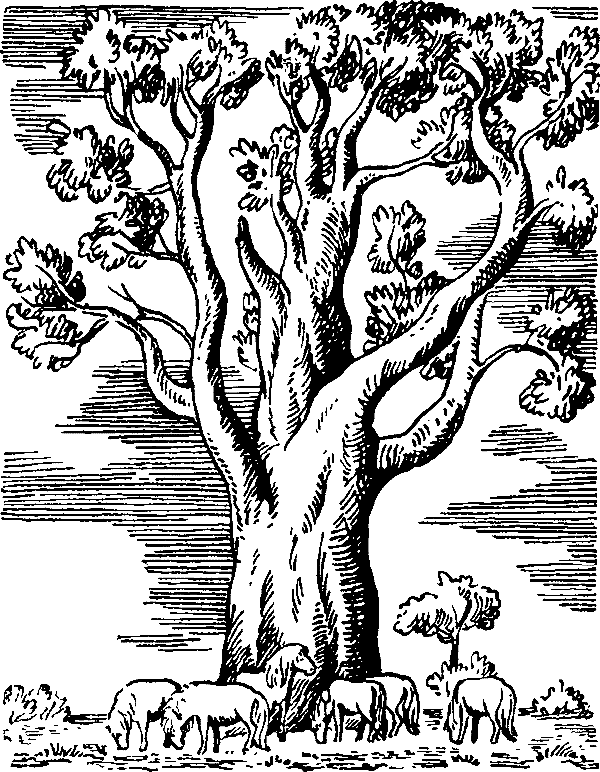 Спортивное предложение - i_001.png