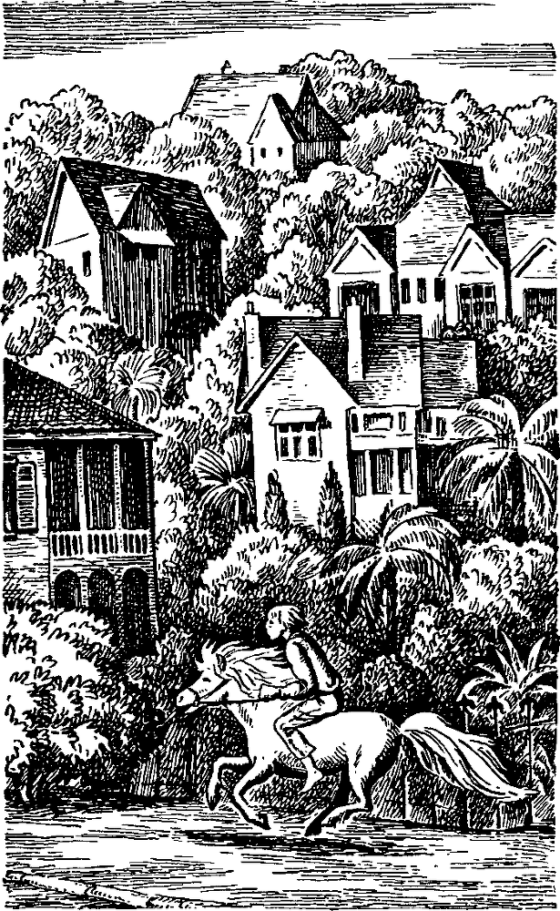 Спортивное предложение - i_004.png