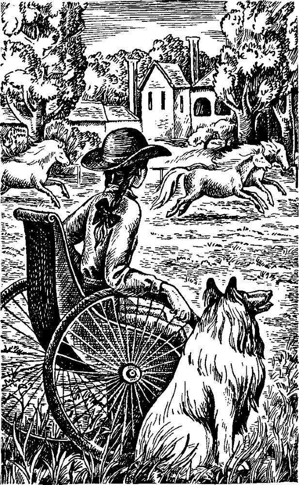 Спортивное предложение - i_005.png