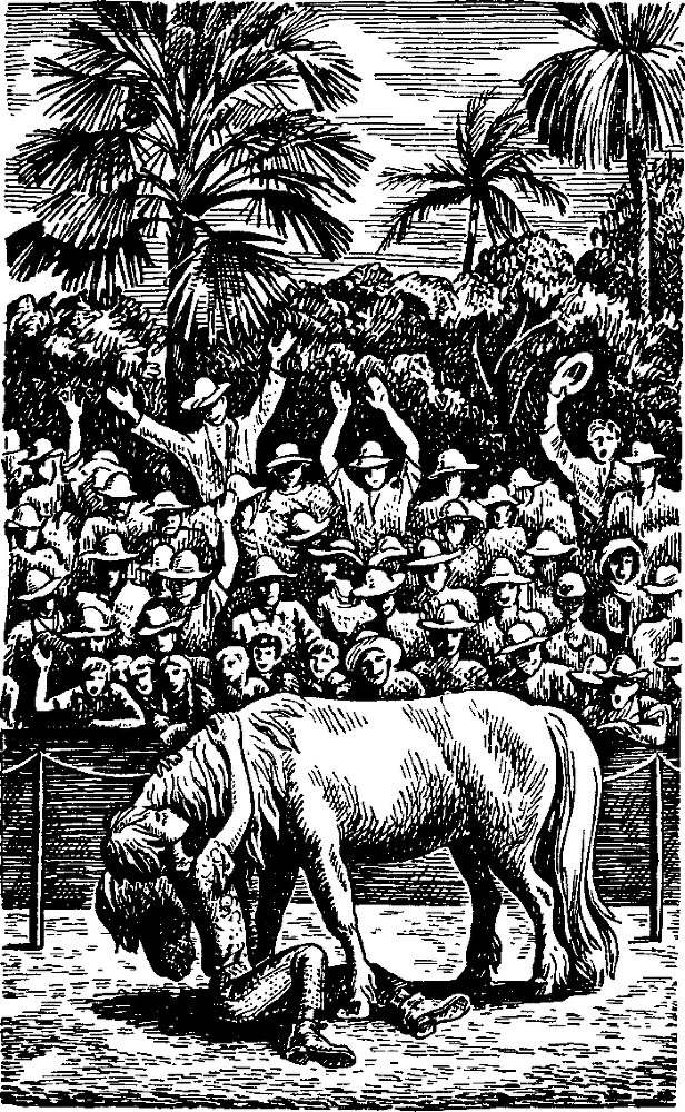 Спортивное предложение - i_010.png