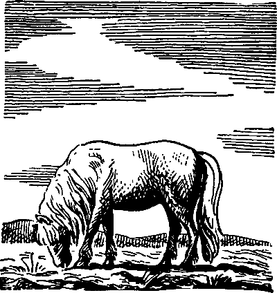 Спортивное предложение - i_011.png