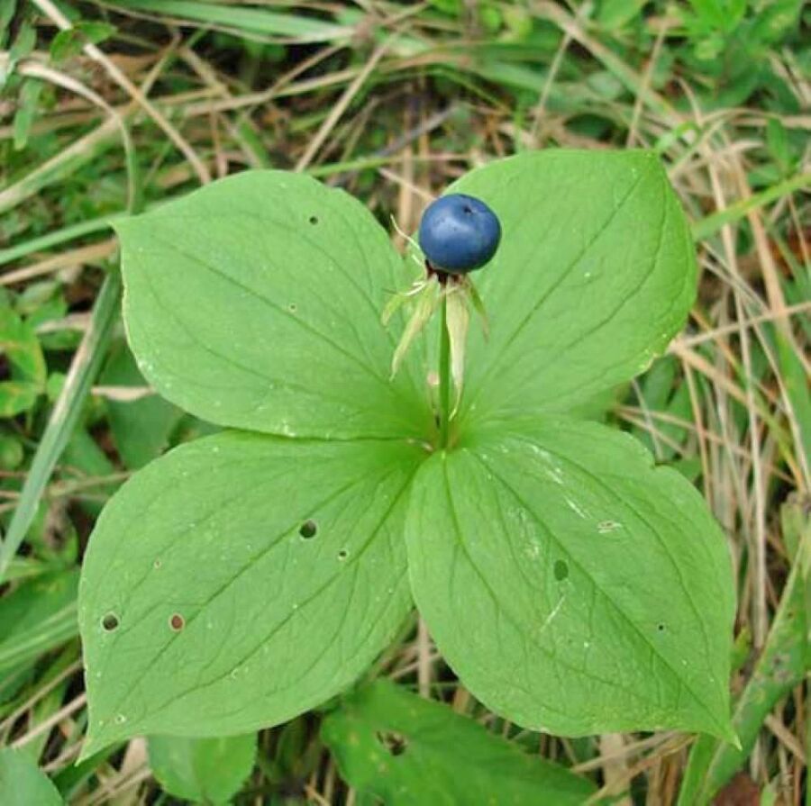 Дурень. Книга первая. Сашка - i_007.jpg