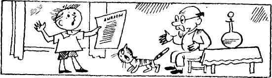 Спасительная женщина - img_12.jpeg