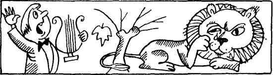 Спасительная женщина - img_15.jpeg