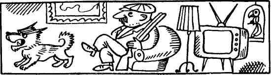 Спасительная женщина - img_25.jpeg