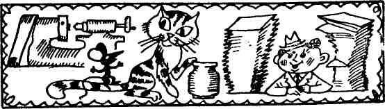 Спасительная женщина - img_7.jpeg