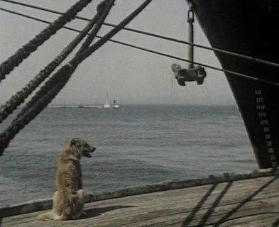 Обезьяна на мачте - solenijpes2.jpg