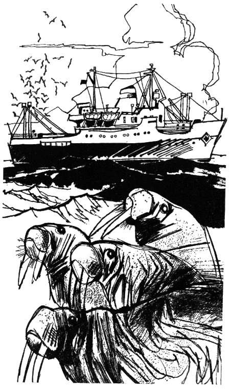 Свет маяка - i_007.png