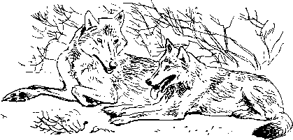 Как кошки ловят рыбу - image15.png