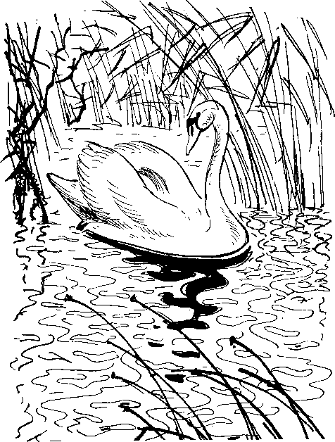 Как кошки ловят рыбу - image16.png