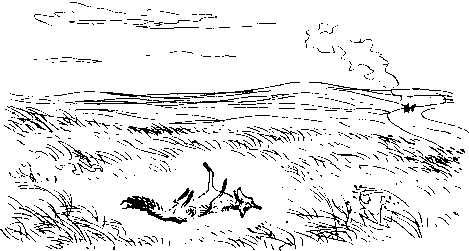 Как кошки ловят рыбу - image21.png