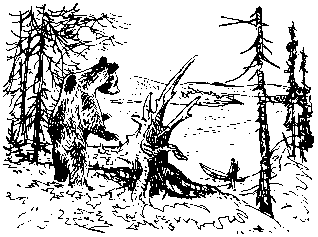 Как кошки ловят рыбу - image25.png