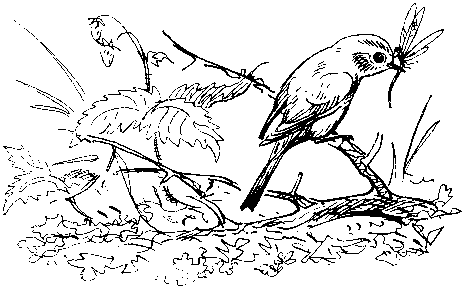 Как кошки ловят рыбу - image8.png