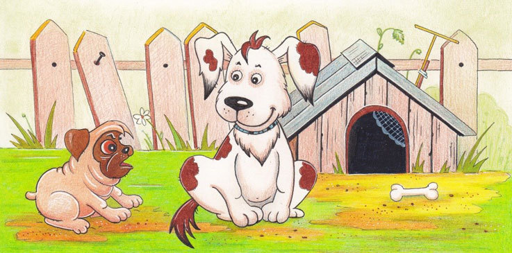 Перья Жар-птицы - i_014.jpg