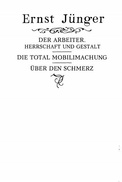 Рабочий. Господство и гештальт; Тотальная мобилизация; О боли - i_001.jpg