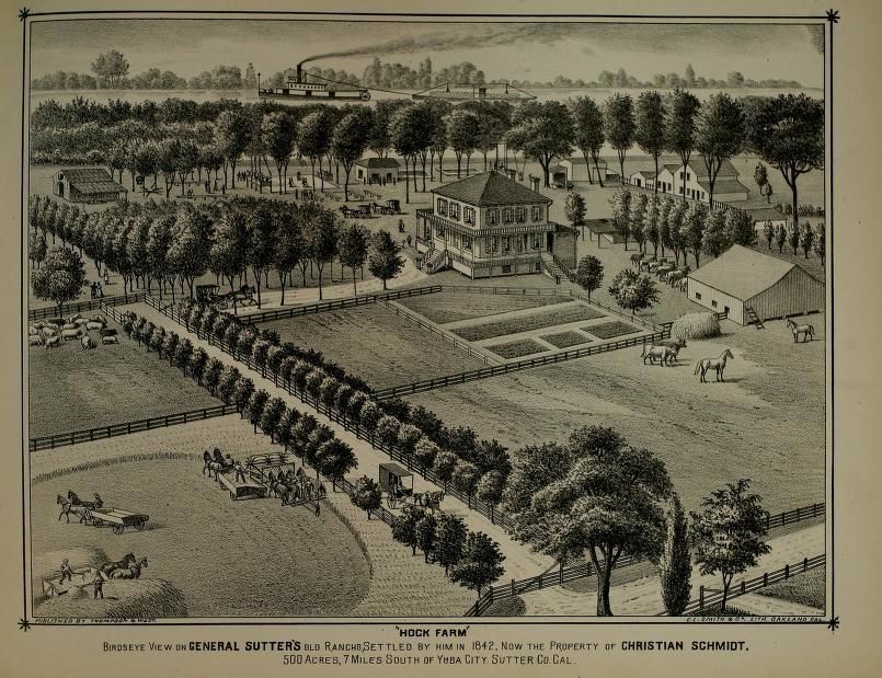 Дурень. Книга пятая. Буря - i_003.jpg