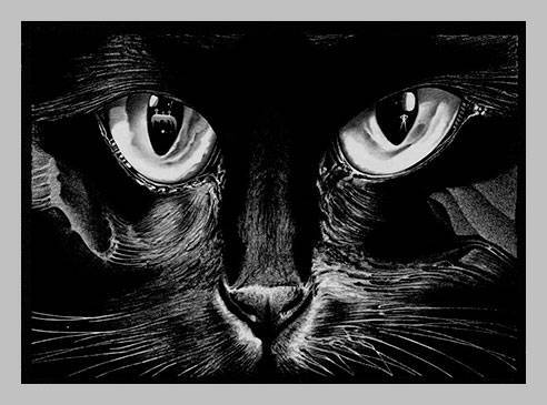 Избранное - i_070.jpg