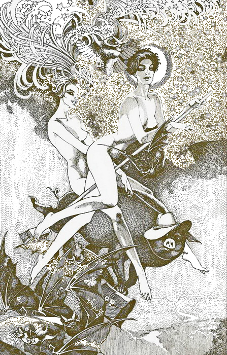 Избранные произведения в одном томе - i_047.png