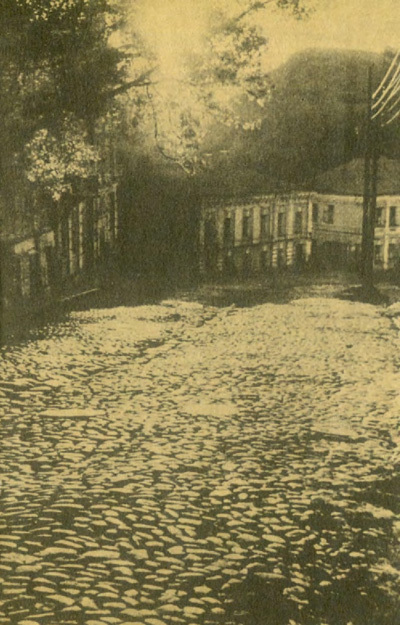 Том 1. Дьяволиада (с иллюстрациями) - i_003.jpg