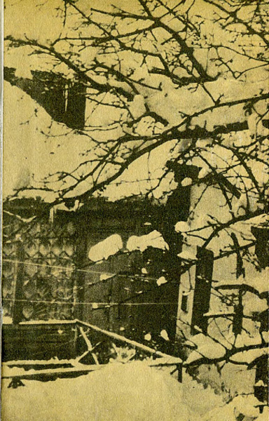 Том 4. Белая гвардия, Дни Турбиных (с иллюстрациями) - i_003.jpg