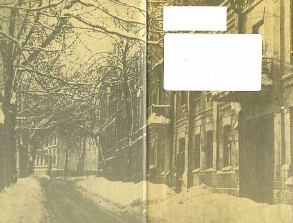 Том 4. Белая гвардия, Дни Турбиных (с иллюстрациями) - i_004.jpg