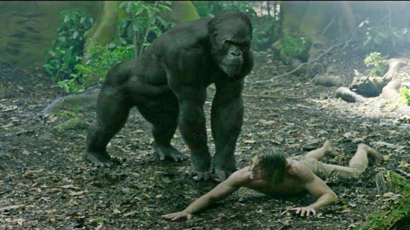 Восхождение в бездну (СИ) - i_003.jpg