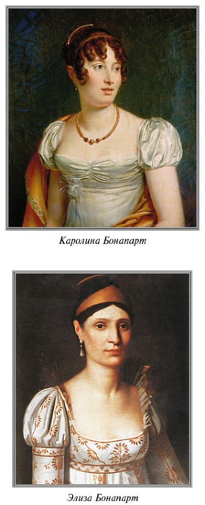 Записки, или Исторические воспоминания о Наполеоне - i_011.jpg