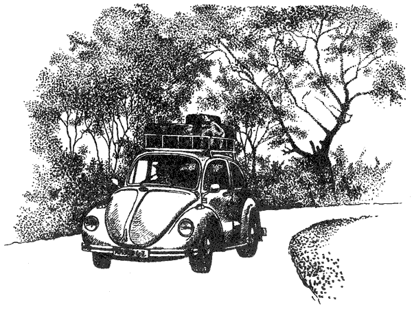 Там, где бродили львы. Последние из свободных - i_018.png