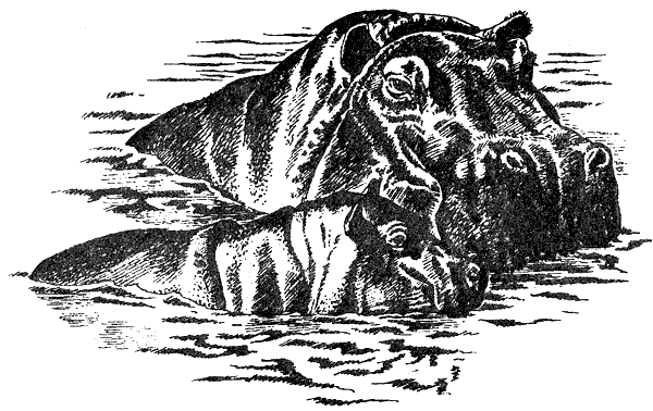 Там, где бродили львы. Последние из свободных - i_024.png