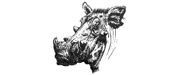 Там, где бродили львы. Последние из свободных - i_033.png