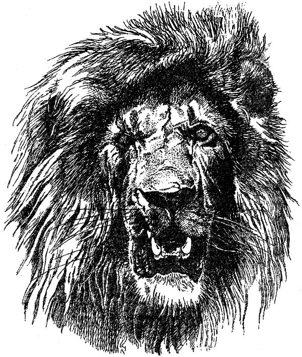 Там, где бродили львы. Последние из свободных - i_041.png