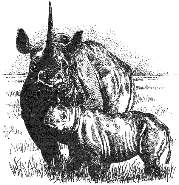 Там, где бродили львы. Последние из свободных - i_042.png