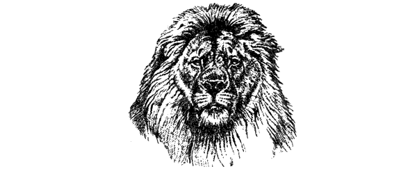 Там, где бродили львы. Последние из свободных - i_045.png