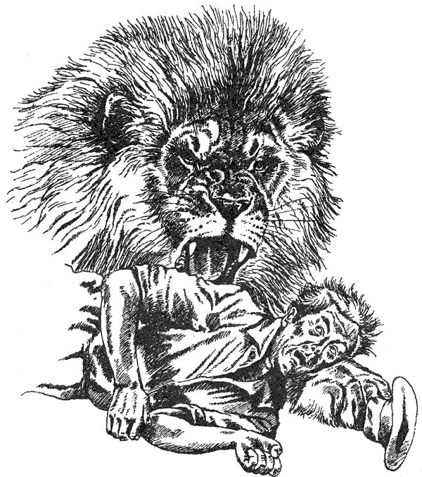 Там, где бродили львы. Последние из свободных - i_049.png