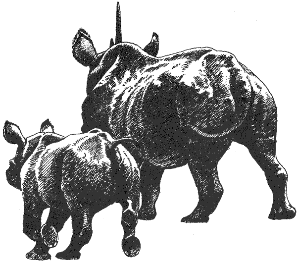 Там, где бродили львы. Последние из свободных - i_057.png