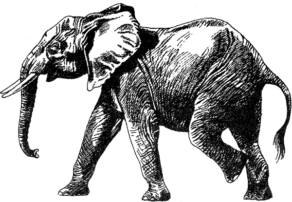 Там, где бродили львы. Последние из свободных - i_060.png