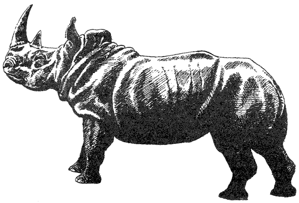 Там, где бродили львы. Последние из свободных - i_065.png