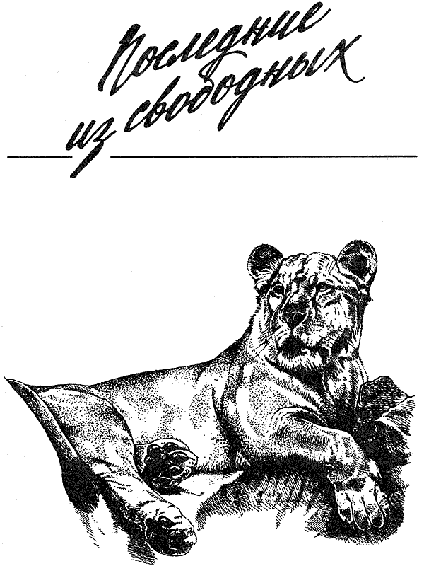 Там, где бродили львы. Последние из свободных - i_067.png