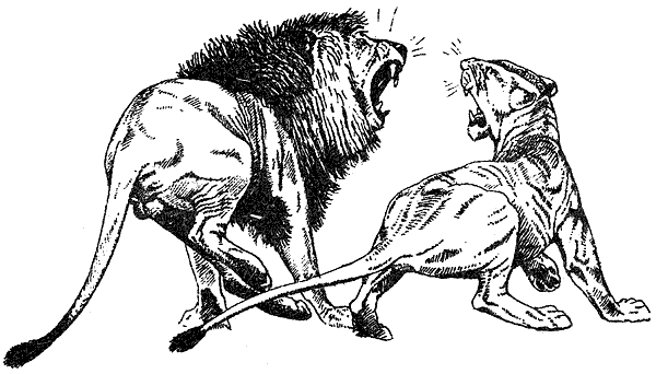 Там, где бродили львы. Последние из свободных - i_068.png