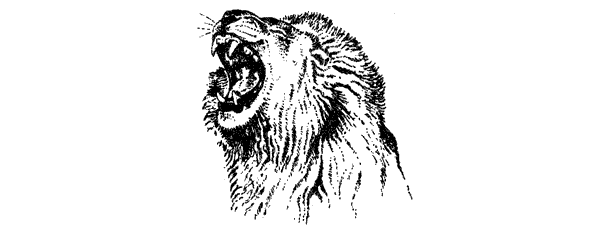 Там, где бродили львы. Последние из свободных - i_069.png