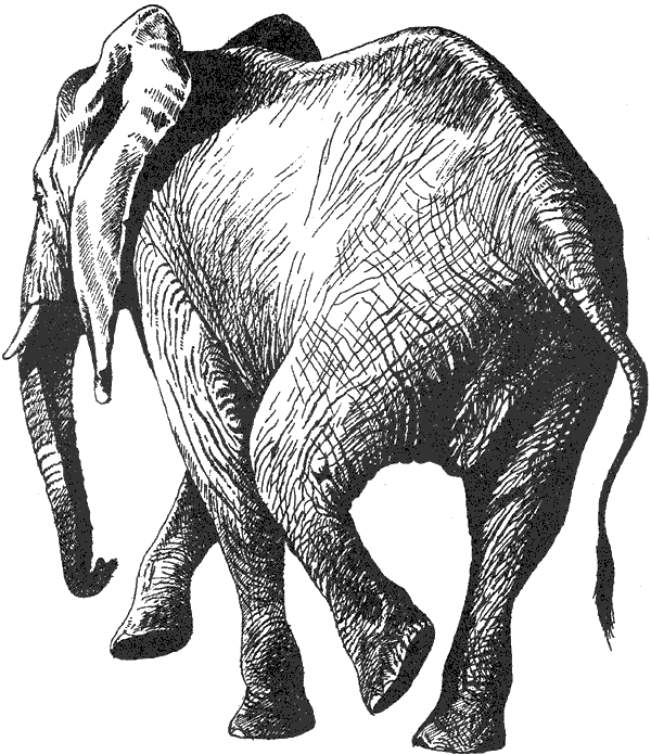 Там, где бродили львы. Последние из свободных - i_077.png