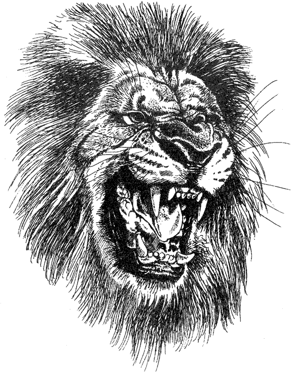 Там, где бродили львы. Последние из свободных - i_093.png