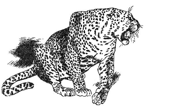 Там, где бродили львы. Последние из свободных - i_094.png